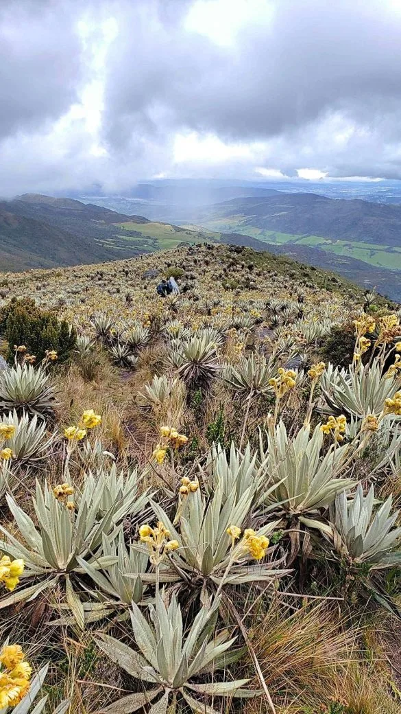 Hiken Colombia Chingaza Lagunas de Siecha uitzicht Hiken Colombia Chingaza Lagunas de Siecha uitzicht