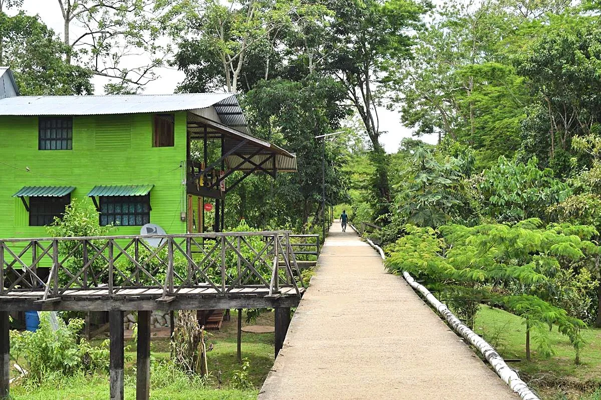 Beste reistijd Amazone gebied Colombia