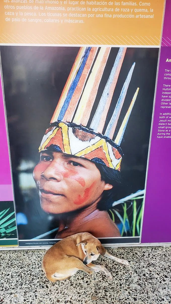 Historie inheemse bevolking Amazone Colombia