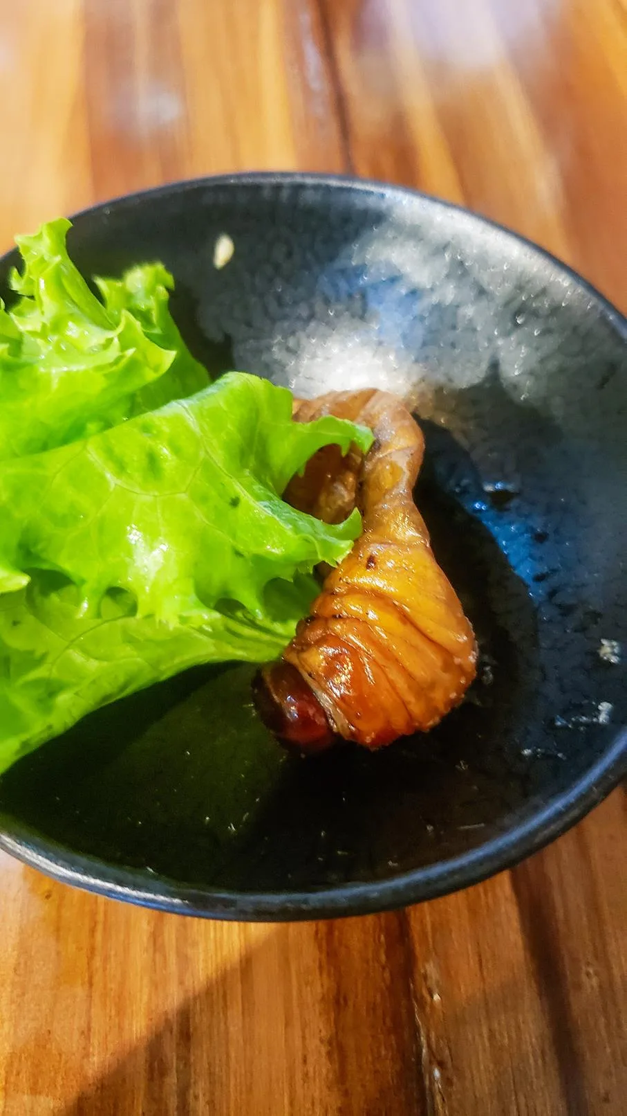 Wormen eten Amazone Colombia Leticia