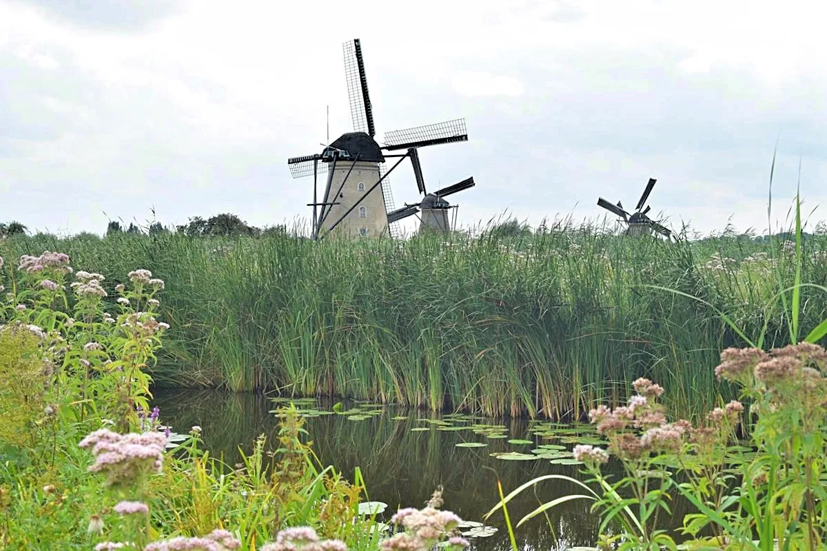 Kinderdijk molens bezoeken