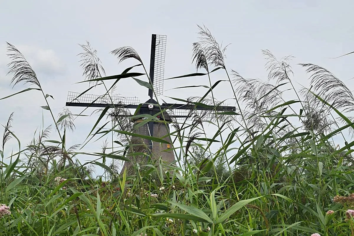 Kinderdijk of Zaanse Schans