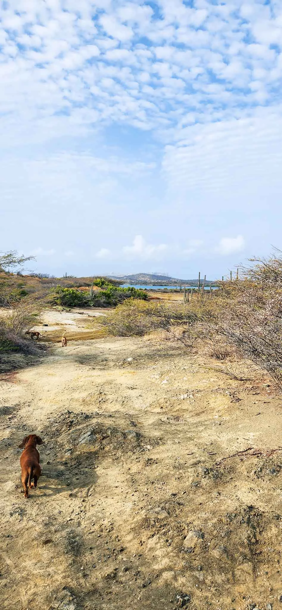 Sint jorisbaai Curacao