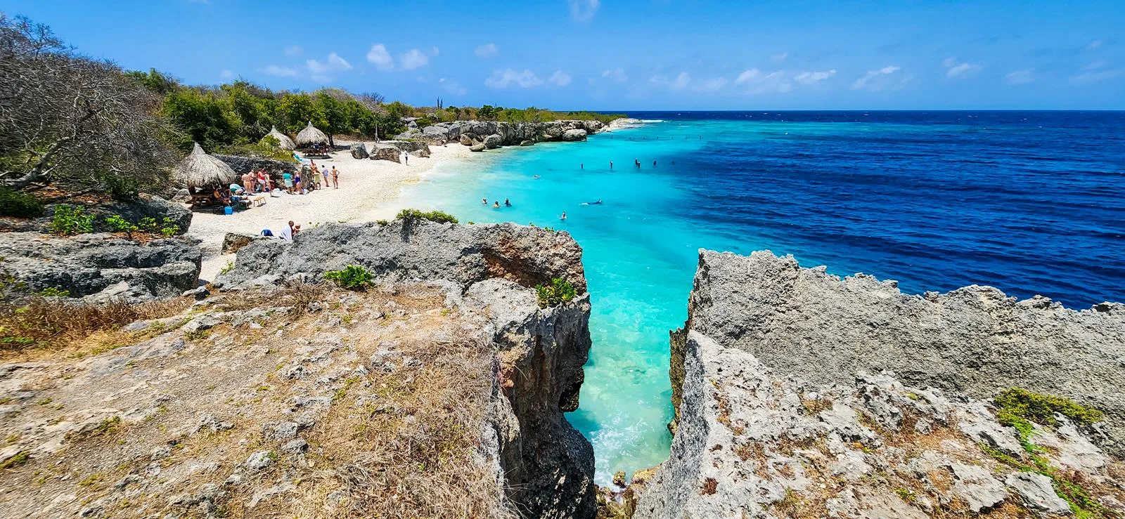 Directeurs baai Curacao