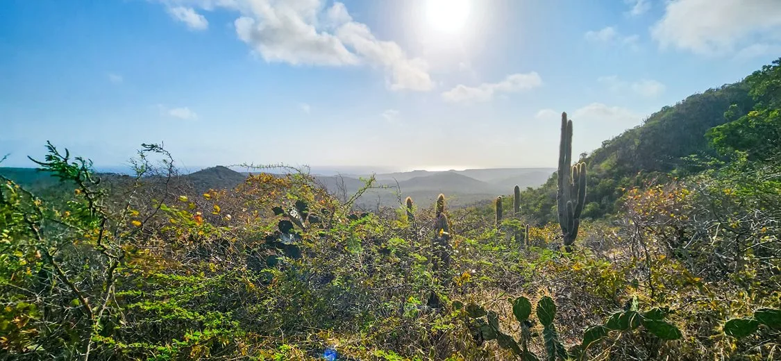 Christoffelpark Curacao