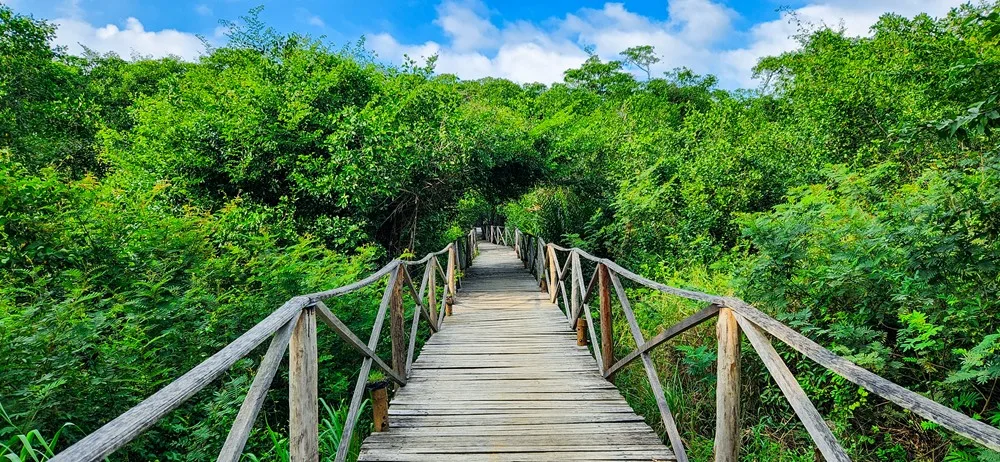 Eco-hotel Palomino Colombia in de natuur