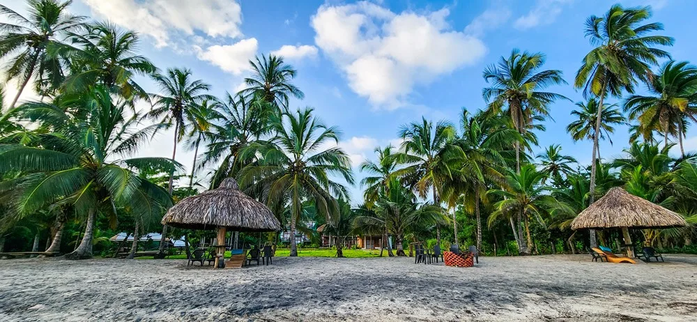 Hotels in Palomino