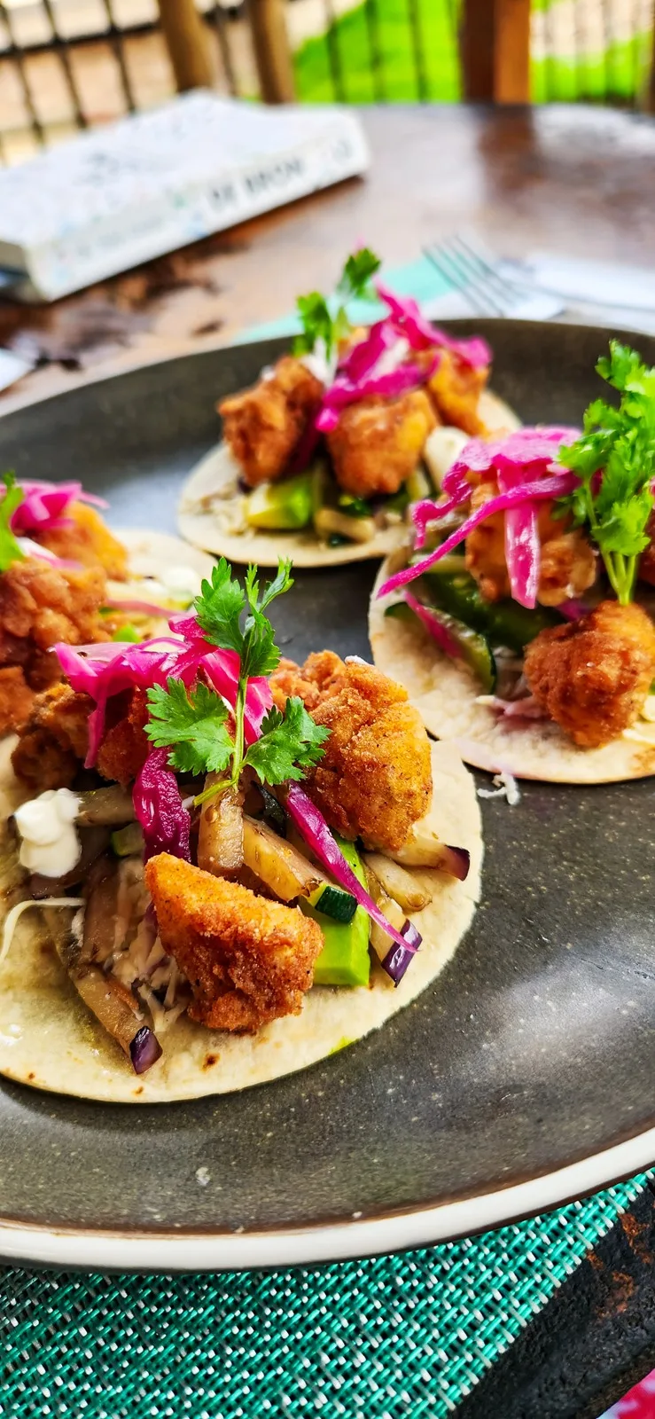 Taco's eten eco hotel Palomino