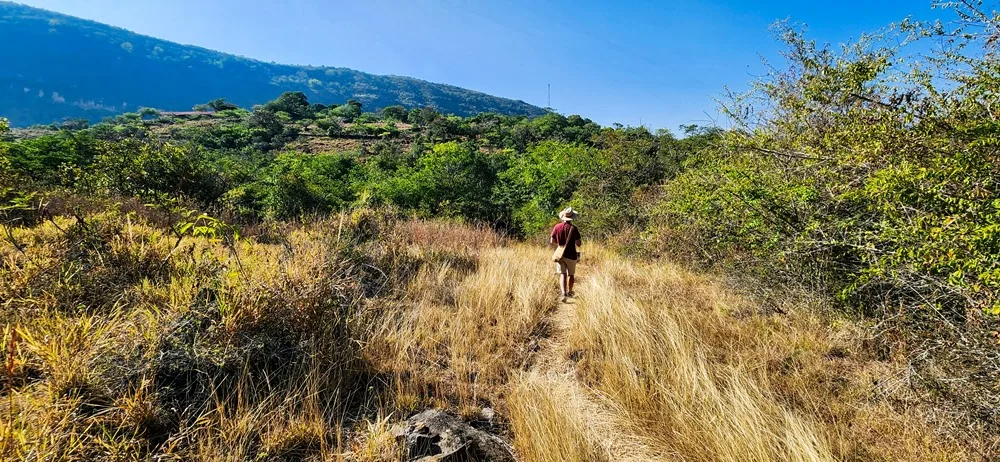Camino Tobares Barichara
