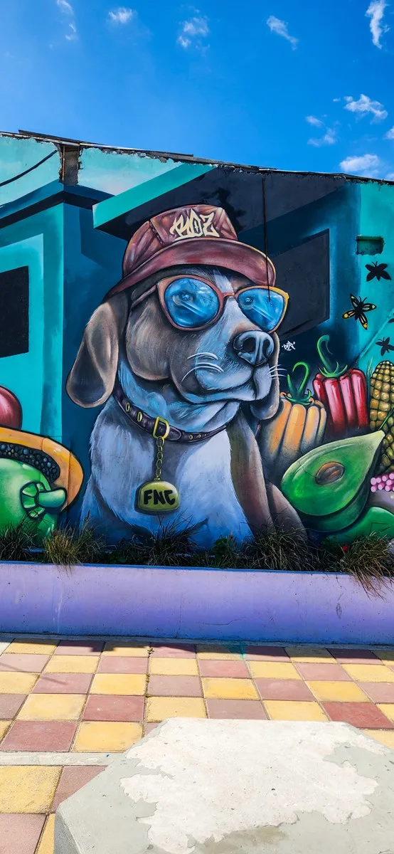 Beste street art tour Colombia