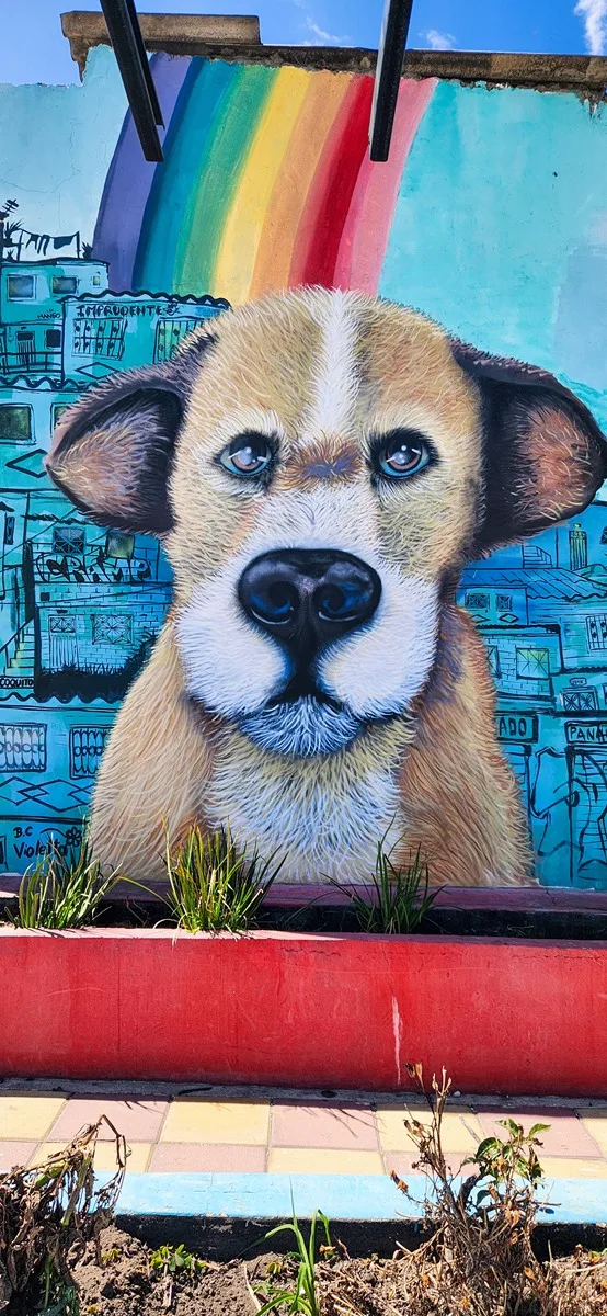 Street art hond