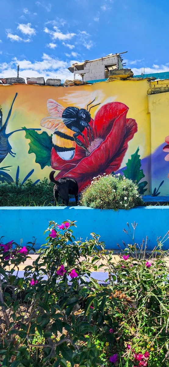 Tour street art Bogotá