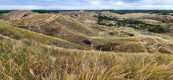 Is Skagen Denemarken een must-see