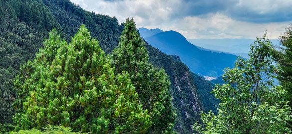 Is er veel natuur in Bogotá