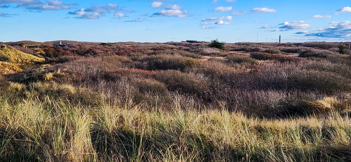 Mooie wandelroutes bij Skagen