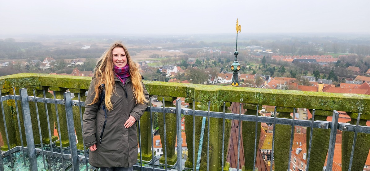 Where to find a beautiful view of Ribe, Denmark