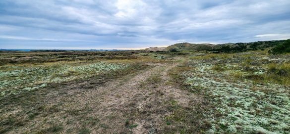 Wandelroutes herfst Skagen