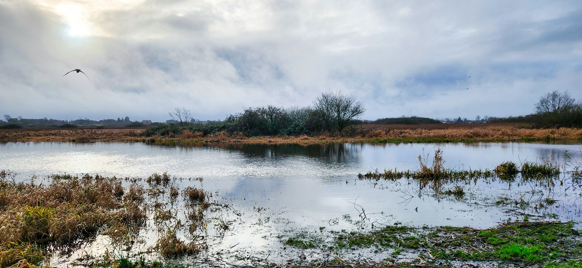 Hiking trails in South Jutland