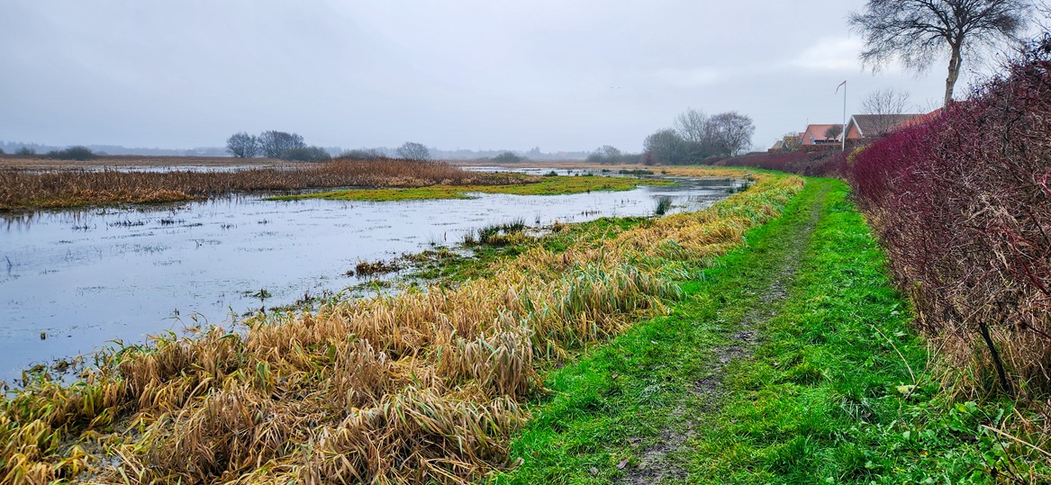 Hiking trails from Ribe